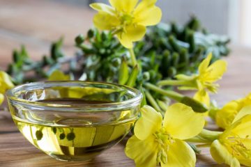 Hoa anh thảo – bí quyết làm đẹp của phụ nữ Châu Âu Hoa anh thảo – bí quyết làm đẹp của phụ nữ Châu Âu